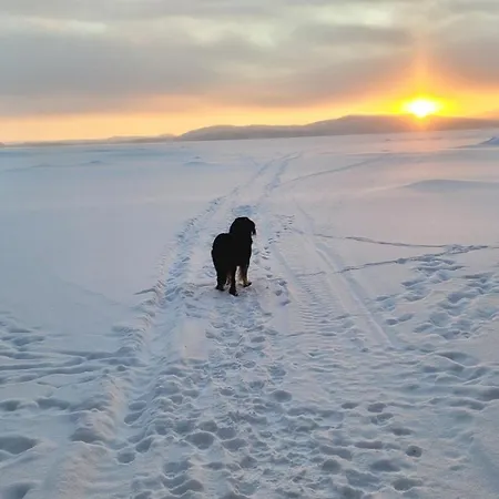 Ferienhaus Moekki Kemijaervellae