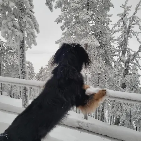 Moekki Kemijaervellae 度假居