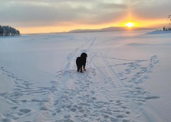 Ferienhaus Moekki Kemijaervellae
