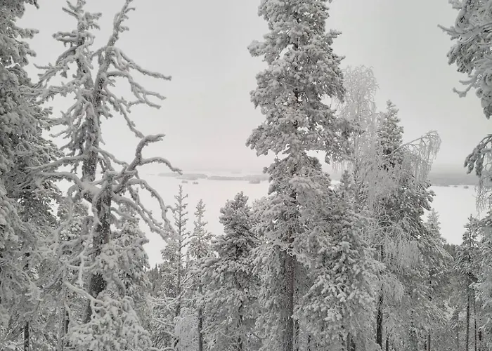 Moekki Kemijaervellae Ammala